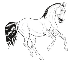Obraz na płótnie Canvas Linear horse with mane thrown to the other side of the neck. Galloping stallion pricked up its ears and looks with interest. Vector emblem, design element for equestrian goods and coloring books.