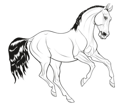 Linear horse with mane thrown to the other side of the neck. Galloping stallion pricked up its ears and looks with interest. Vector emblem, design element for equestrian goods and coloring books.