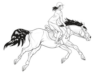 Performance at show jumping competitions. Woman dressed in jacket and breeches rides a horse. Stallion gallops with legs stretched out. Linear black and white vector clip art for equestrian clubs.
