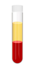 Vector illustration of a test tube with blood after separation of plasma isolated on white background. Platelet-rich plasma, platelet-poor plasma, PRP, PPP. Blood fractionation, centrifuging the blood