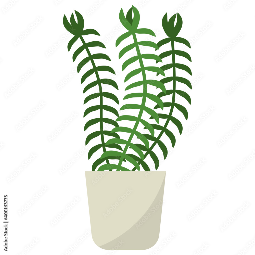 Sticker Club Moss Plant 