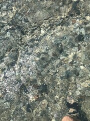 Clear Reflective Sea Top View