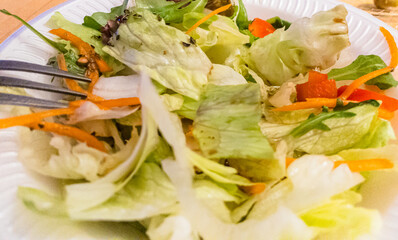 A selective focus shot of a veggie salad with lettuce, carrot, pepper, greens