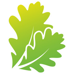 Spinach Leaves Logo 