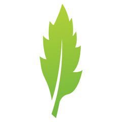 Willow Leaf Logo 
