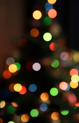 Obraz premium Background of Christmas tree lights, colorful bokeh on a dark background