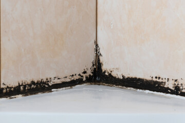 the silicone sealer is mildewed. Mold in the shower stall. Dampness and humidity
