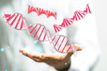 Health Insurance Concept - digital interface