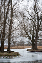 Winter view of the frozen river and the river bank with trees and bushes. Cloudy cold day