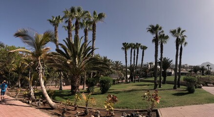 Fototapeta premium COSTA ADEJE TENERIFE 