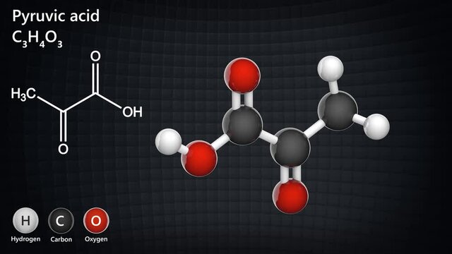 Pyruvic acid (Molecular Formula: C3H4O3) is an intermediate compound in the metabolism of carbohydrates, proteins, and fats. 3D render. Seamless loop. Ball and Stick chemical structure model.