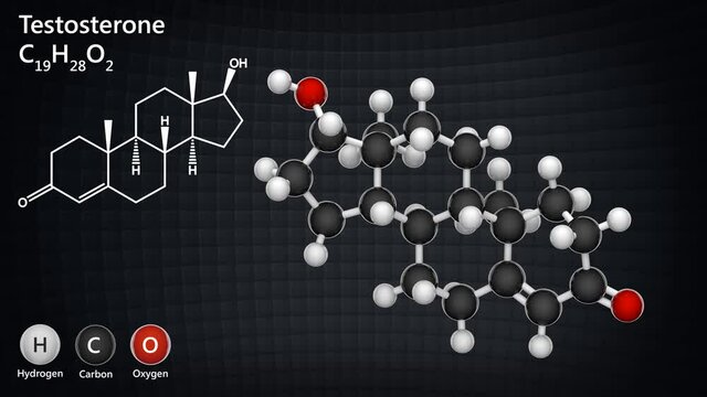 Molecular structure of Testosterone - steroid hormone from the androgen group. C19H28O2. 3D render. Seamless loop. Ball and Stick chemical structure model.