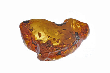 Polished, beautiful Baltic amber fossil , precious