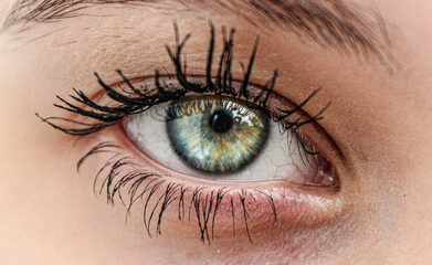 close up of a female eye