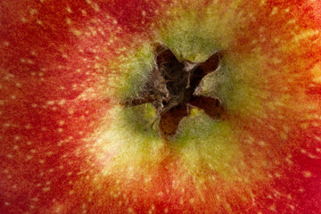 Juicy red apple close up