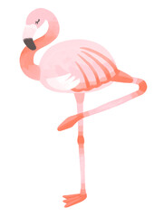 片足で立つおしゃれなフラミンゴ
