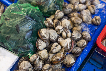 cockle shells for sale in the market.