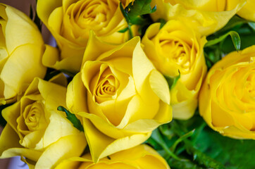 Close up view of a bouquet of yellow roses.