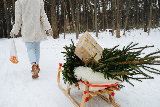 Cropped image of a woman walking away in a snowy winter forest, pulling sleigh with christmas goods. Fir tree, present and tangerines.