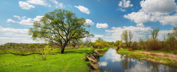 The river among green fields and clouds reflecting in the water in spring at times. fresh spring...