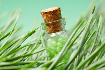 glass bottle with green granules and a pine branch. homeopathic remedies