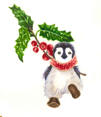 Penguin baby. Holly. Ilex aquifolium.Christmas penguin. Cute animals.