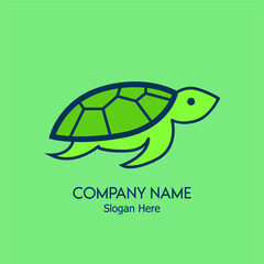 turtle isolated on white