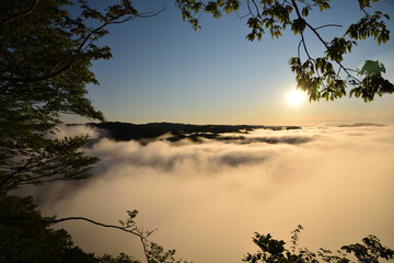 Sea of clouds in early morning