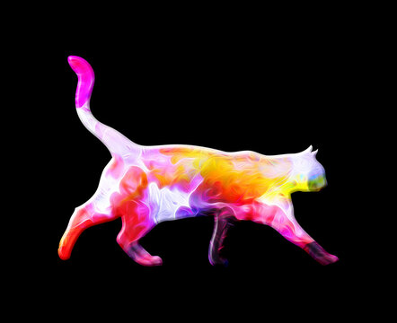 Cat Kitten Pet Colorful Watercolor graphic illustration