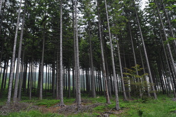 Góry Wałbrzyskie, Poland