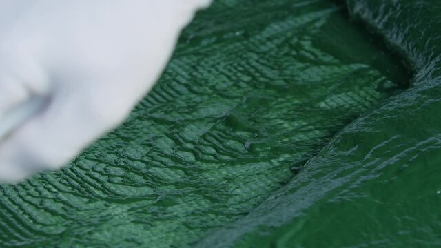 Spirulina, algae, 4K, slow motion