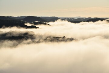 Sea of clouds in early morning