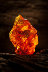 Beauty of natural raw amber. A piece of yellow-red transparent natural amber on piece of stoned wood