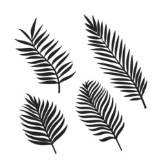 Tropical leaves silhouettes vector set isolated on white background