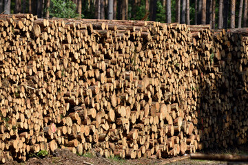 wood piles stacked on the road waiting for export