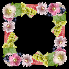 Beautiful frame of mallow and grapes. Isolated