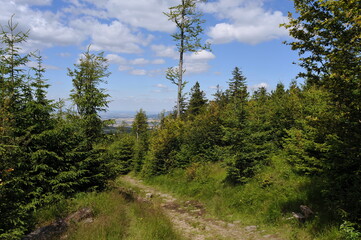 Owl Mountains, Poland © Strumyk