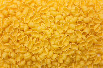 Many raw gnocchi pasta in studio