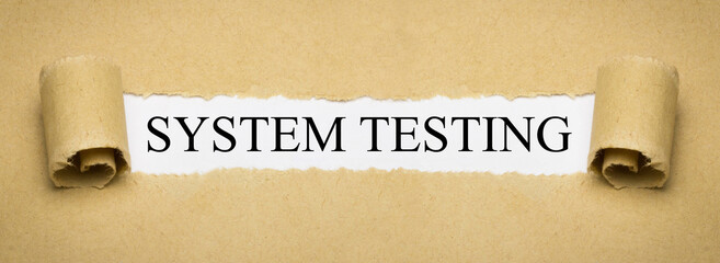 System Testing