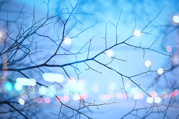 snowflakes branches winter abstract background, holiday new year, cold weather snow