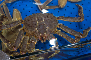 Crabs in in aquarium on a fish market.
