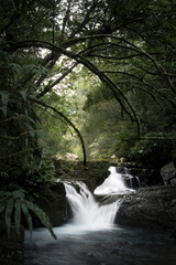 waterfall in forest - 400183565