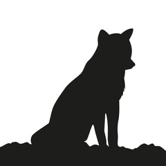 young wolf silhouette on white background vector illustration EPS10