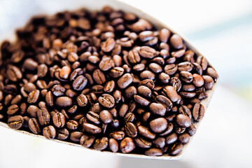 Roasted Coffee Bean, Raw Coffee Bean, Coffee Crop, Backgrounds