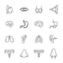 Set of Organ human logo design vector template, Organs logo design concept, Icon symbol