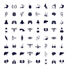 Set of Organ human logo design vector template, Organs logo design concept, Icon symbol