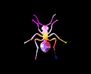 Fototapeta na wymiar Ant Colorful Watercolor graphic illustration