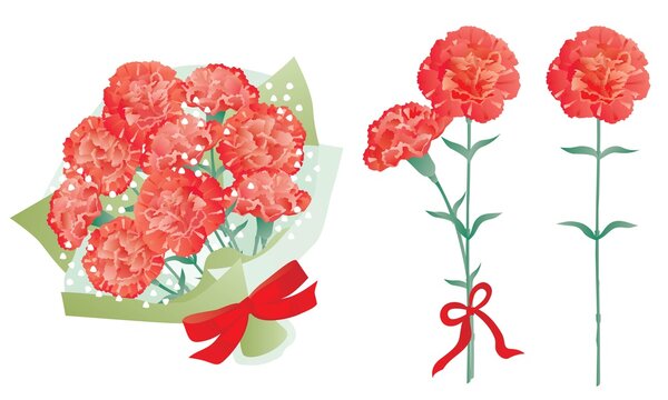 母の日の赤いカーネーションの花束や一輪と二輪のセット