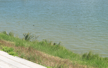 Summer green nature river landscape, the Mekong River between Thailand and Laos.