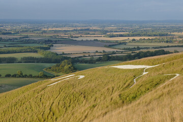 English countryside from White Horse Hill Uffington with horse drawing on hill